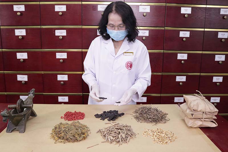 Thầy thuốc ưu tú, bác sĩ Lê Phương đang nghiên cứu các loại thảo dược để điều chế bài thuốc Nhất Nam An Bì Thang