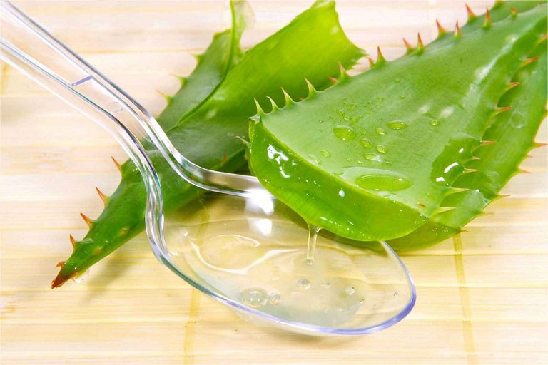 Sử dụng gel nha đam giúp làn da thêm mềm mại, giảm đau rát