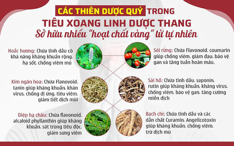 Những thành phần thảo dược quý có trong liệu trình Tiêu Xoang Linh Dược Thang