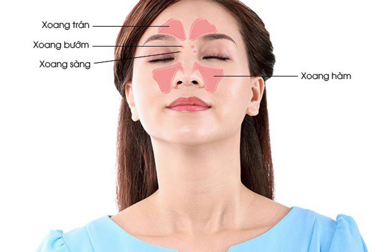 Xoang bướm nằm ở vị trí sâu nhất trong các xoang cạnh mũi, phía sau hốc mũi